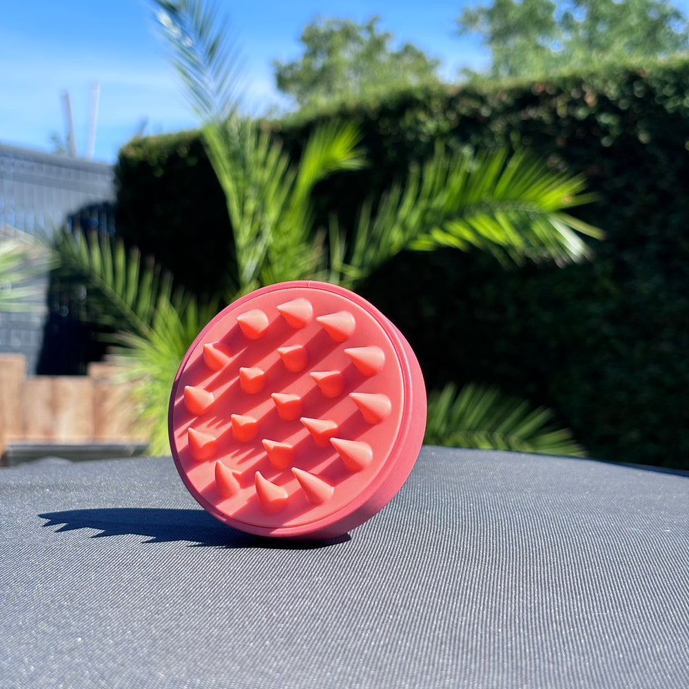 Brosse massante cuir chevelu 