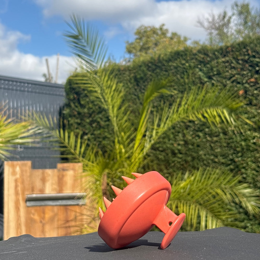 Brosse Massante Cuir Chevelu - Stimule la Pousse & Microcirculation - Eclat des sens