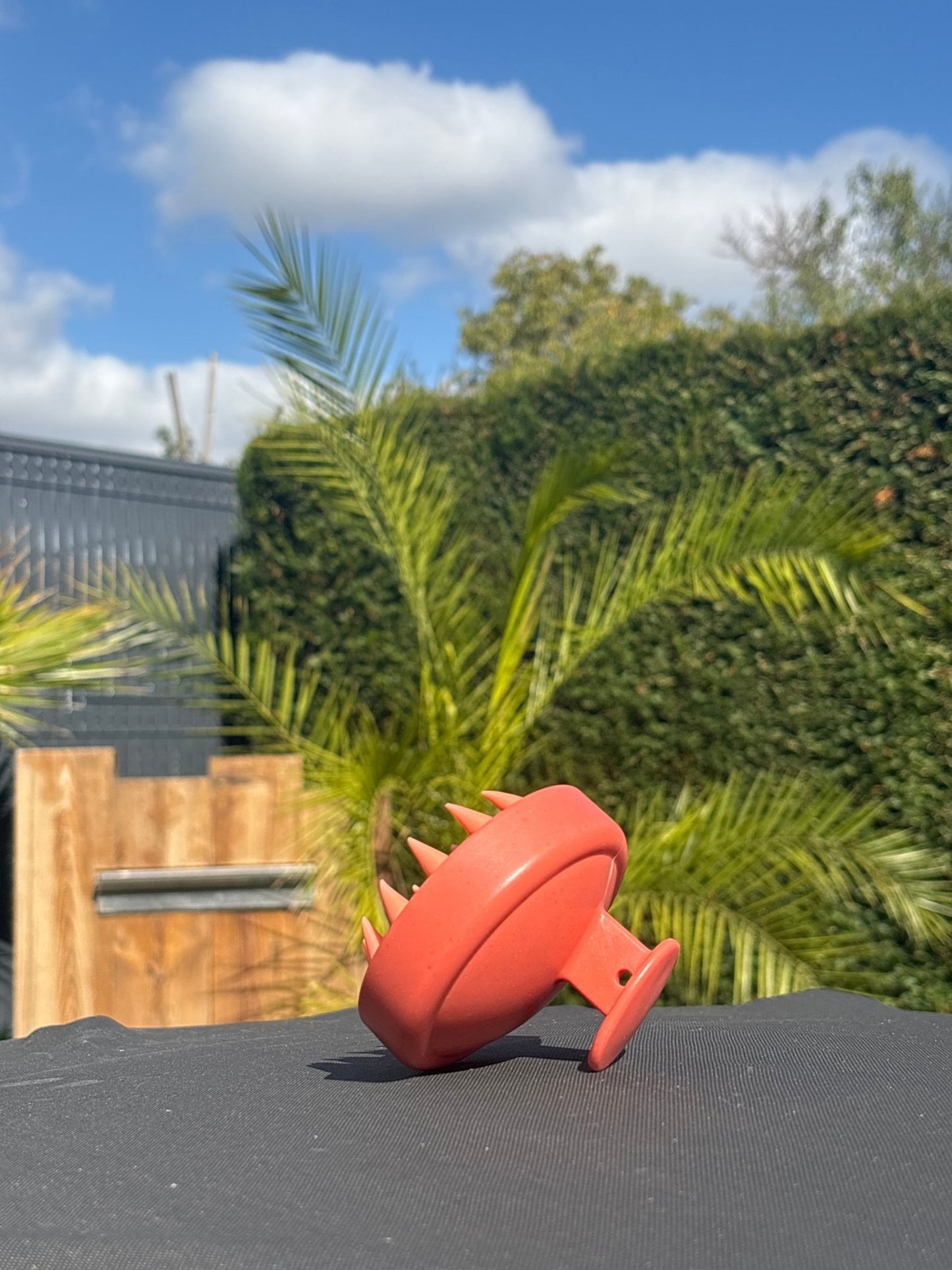 Brosse Massante Cuir Chevelu - Stimule la Pousse & Microcirculation - Eclat des sens