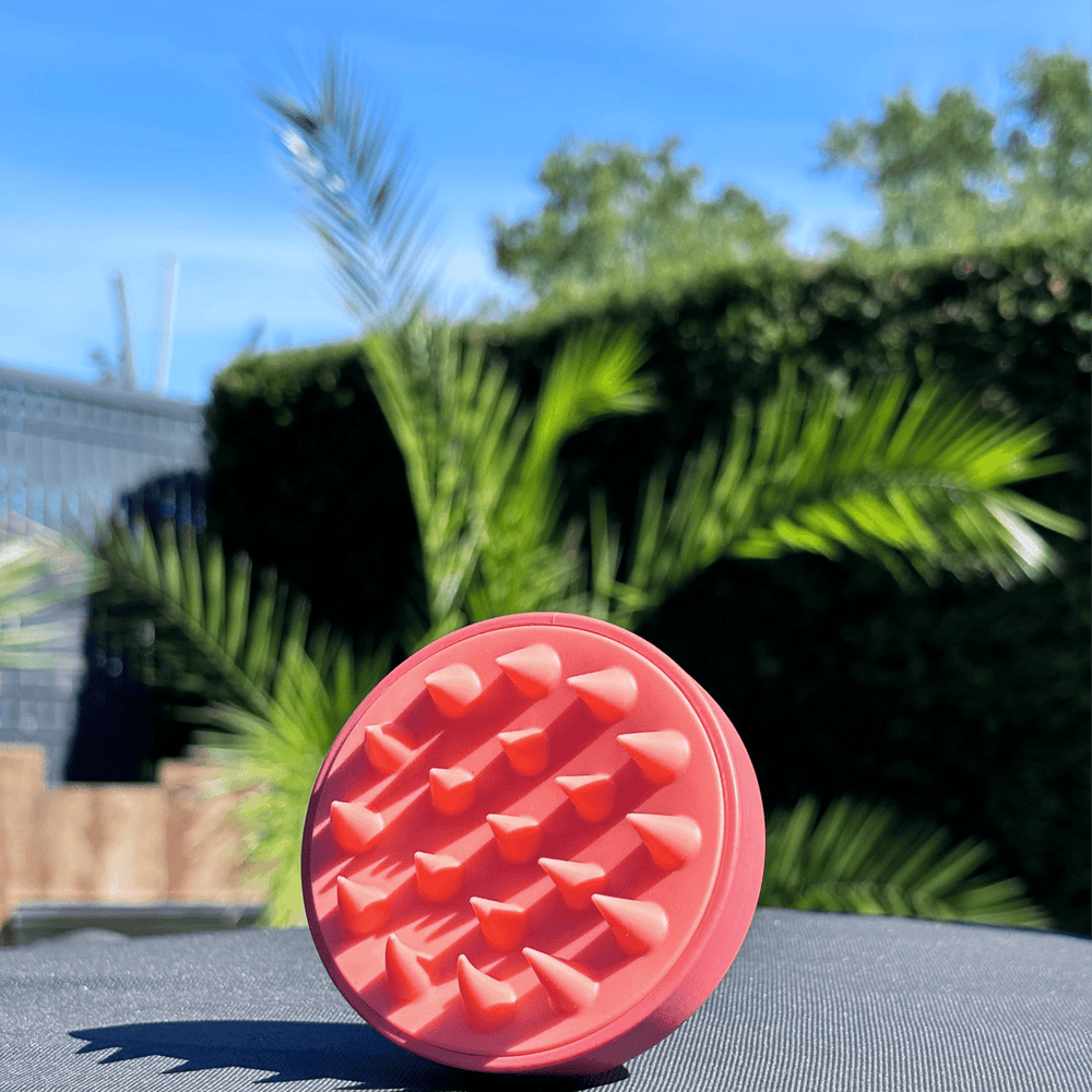 Brosse Massante Cuir Chevelu - Stimule la Pousse & Microcirculation - Eclat des sens