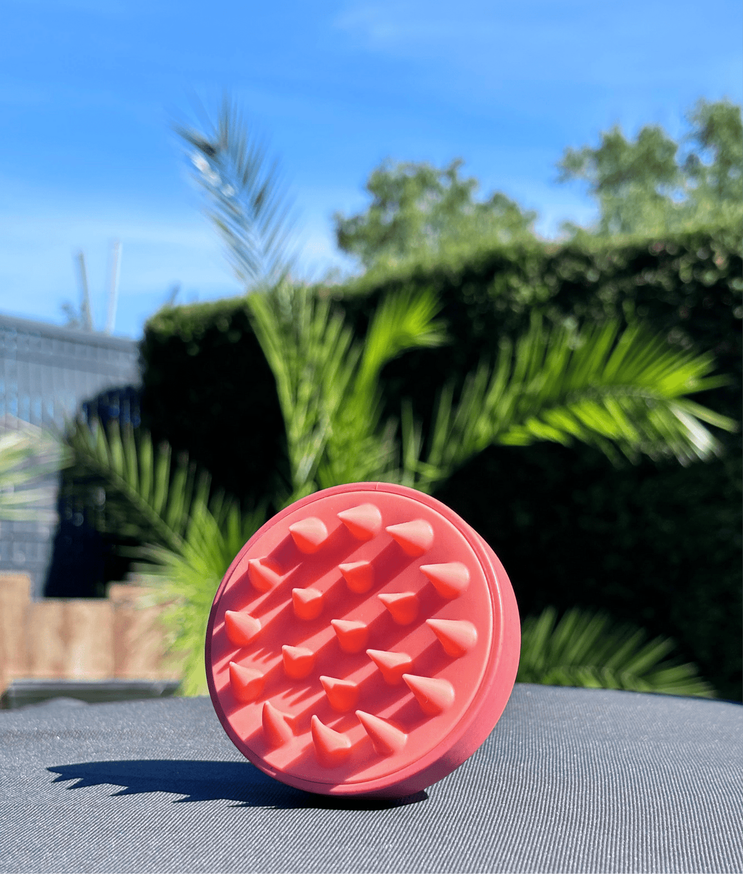 Brosse Massante Cuir Chevelu - Stimule la Pousse & Microcirculation - Eclat des sens